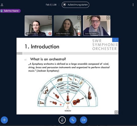 LEIZ: Screenshot online lecture