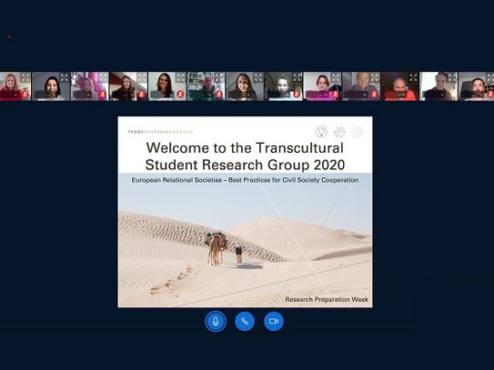 LEIZ: TLC online meeting