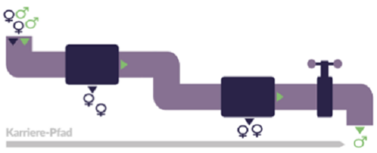 Ermer: leaky pipeline for female leaders