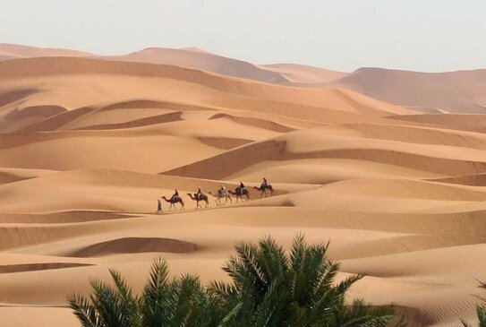 LEIZ Transcultural Caravan