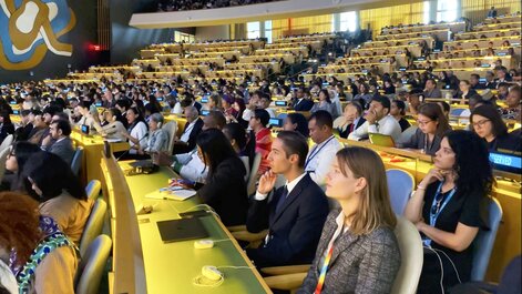 Im großen Plenarsaal der Vereinten Nationen.