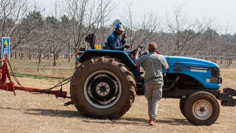 Lokale Farmer nach der Pekanuss-Ernte auf der Experimental Farm der University Of Pretoria in Südafrika.