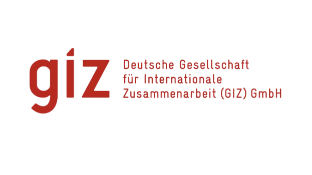 Transferprojekt zur computerbasierten Textanalyse von Evaluationsprojekten mit GIZ 