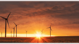 Gone with the wind? Neue Publikation von Prof. Paraschiv