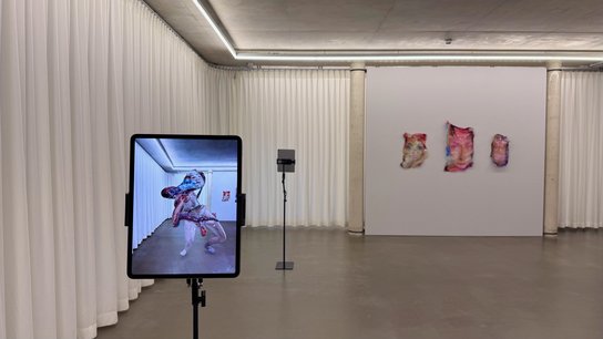 Martina Menegon, Glitchaelia