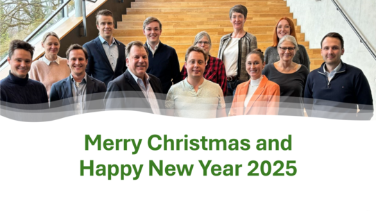 Merry Christmas and Happy New Year 2025