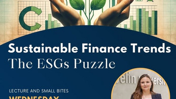 Seminar talk at the Webster University of Vienna