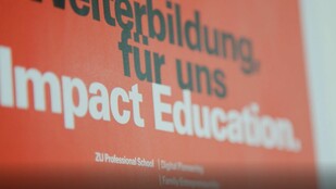 Das ZUEE Angebot | Ein Einblick mit Seeblick