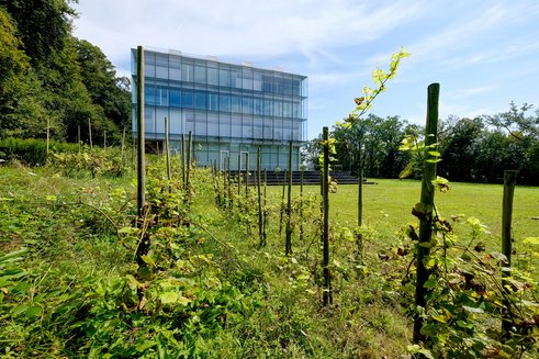 Standort am Seemooser Horn | ZU/Michael Scheyer