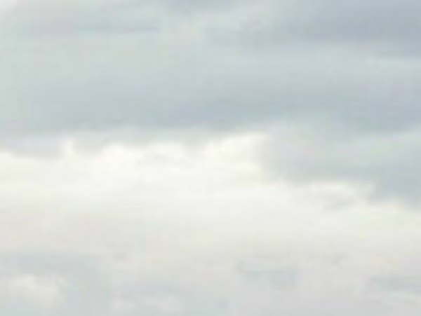 So wollig-weich und flauschig der Begriff „Cloud“ auch klingen mag, steckt doch ein knallhartes Geschäft hinter der Wolke. Allein Software-Gigant Microsoft setzt 14 Milliarden Dollar jährlich mit seinem Cloud-Angebot um – und das obwohl das Angebot nur eine Nebensparte des erfolgreichen Unternehmens auf Redmond ist. 