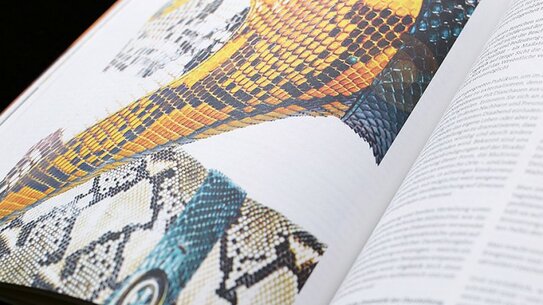 Zwischenfragen - Ausgabe 2 - Zeppelin Universität