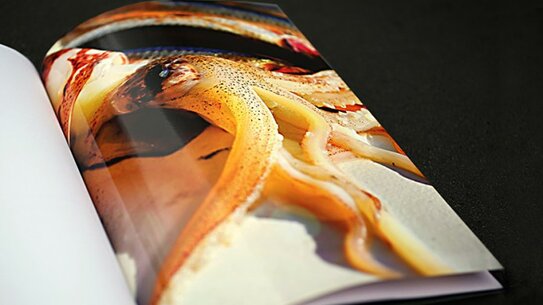 Zwischenfragen - Ausgabe 2 - Zeppelin Universität