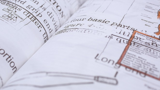 Zwischenfragen - Ausgabe 3 - Zeppelin Universität