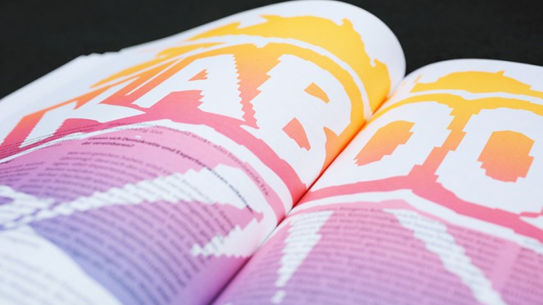 Zwischenfragen - Ausgabe 3 - Zeppelin Universität