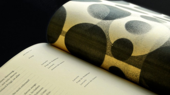 Zwischenfragen - Ausgabe 6 - Zeppelin Universität