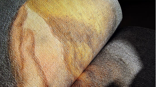 Ausschnitt aus dem "Zwischenfragen" Wissensmagazin - Zeppelin Universität