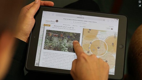 ZU Gründungen | nearBees