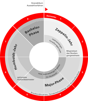 Studienstruktur BA CCM