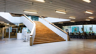 Prof Dr Eva Schürmann | Das Hybride und das Imaginäre