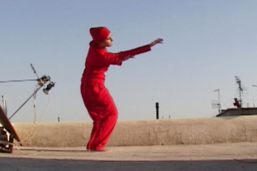 Anahita Razmi (D), Roof Piece Tehran, 2011