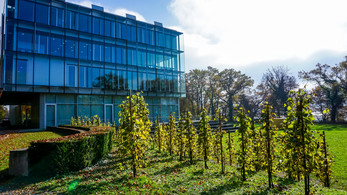 Rückblick auf den ZU|kunftssalon Public Corporate Governance 2023