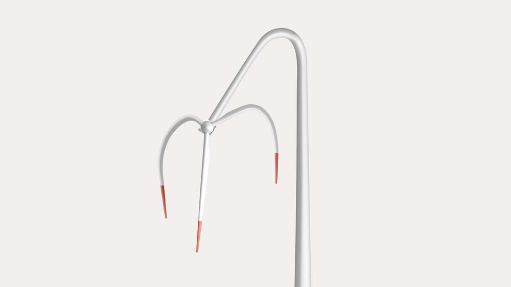 Prof. Dr. Alexander Eisenkopf in der WirtschaftsWoche